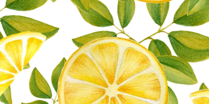 1242x2208 Lemon Wallpapers - Top Free Lemon Backgrounds - WallpaperAccess