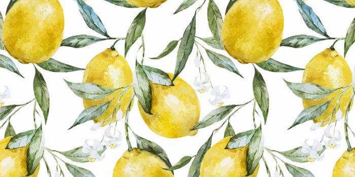 3028x1872 Lovely Lemons