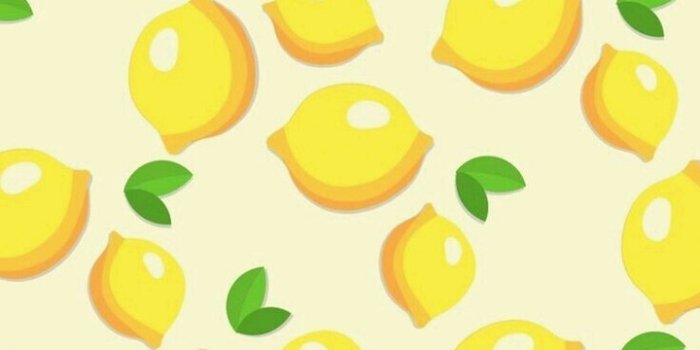720x1280 Lemon Wallpaper shared by amyjames on We Heart It