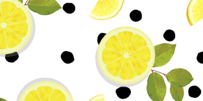 1420x2560 Sliced Lemon Wallpaper - KoLPaPer - Awesome Free HD Wallpapers