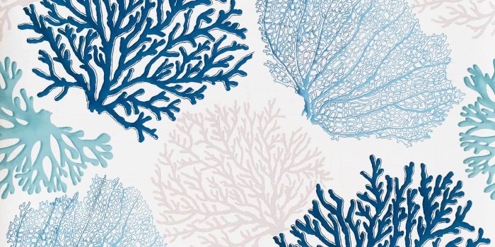 1600x1600 Blue coral wallpaper aqua ocean – Swanky Babs