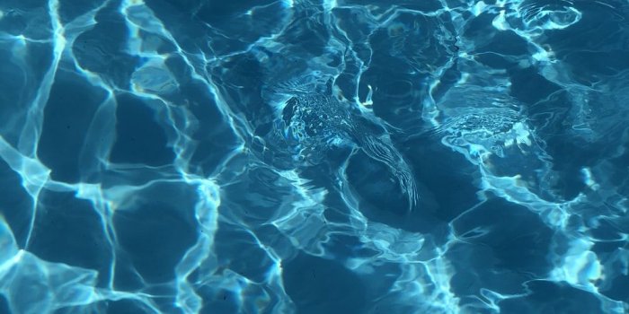 1000x1333 Aqua Water Wallpapers - Top Free Aqua Water Backgrounds - WallpaperAccess