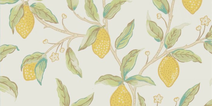 1366x1366 Lemon Tree Bay Leaf Wallpaper | Morris & Co by Sanderson Design