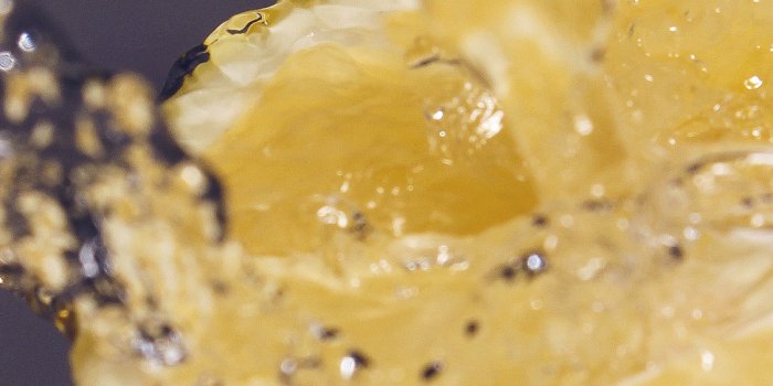 1125x2436 iPhoneXpapers.com | iPhone X wallpaper | mt20-orange-water-lemon-fruit-blue