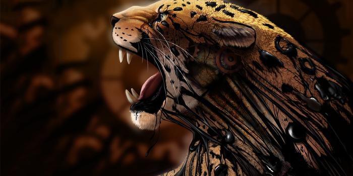 1920x1080 Free download jaguar wallpaper HD [1920x1080] for your Desktop, Mobile &  Tablet | Explore 93+ Jaguares Wallpapers | Jaguar Wallpaper, Jaguares  Wallpapers, Jaguar Animal Wallpaper