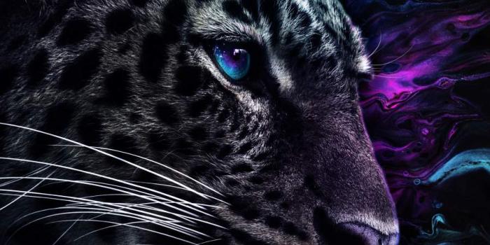 900x1600 Jaguar Predator Eyes - IPhone Wallpapers : iPhone Wallpapers
