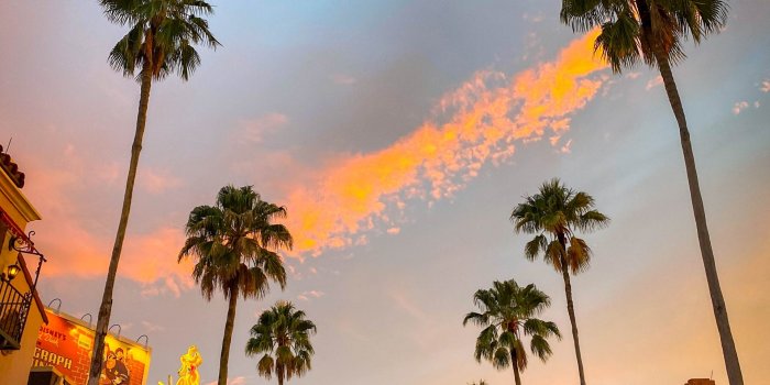 1920x2560 2021 allears wallpapers hollywood studios - AllEars.Net