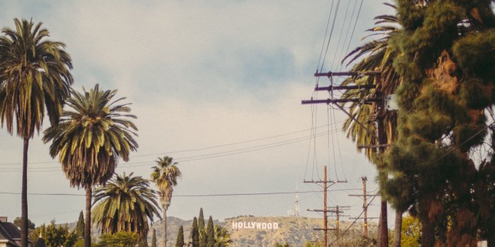 3415x3415 Download wallpaper 3415x3415 hollywood, road, trees ipad pro 12.9