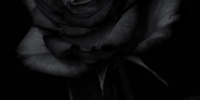 1000x1778 750+ Iphone Dark Pictures | Download Free Images on Unsplash