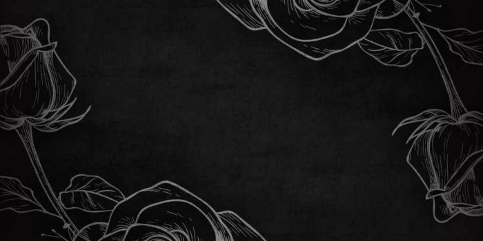 900x1600 Black Rose Art IPhone Wallpaper - IPhone Wallpapers : iPhone Wallpapers