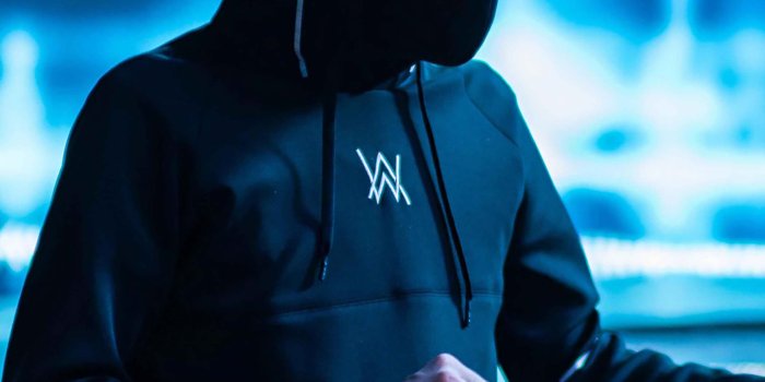 2160x3840 Alan Walker In Live Concert 4K Ultra HD Mobile Wallpaper
