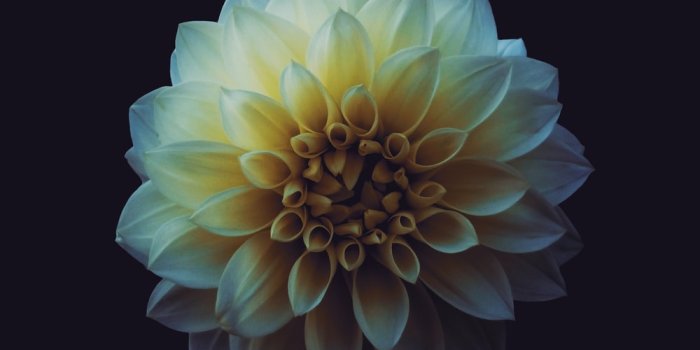 1000x1778 750+ Iphone Dark Pictures | Download Free Images on Unsplash