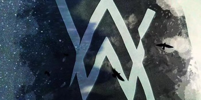 1125x2436 wallpaper for iPhone Alan Walker