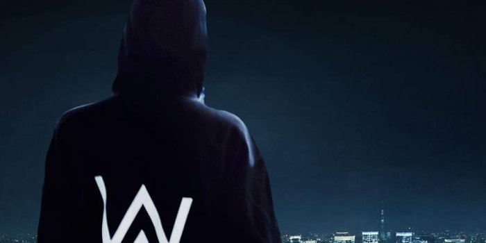 900x1600 Alan Walker Standing On Edge IPhone Wallpaper - IPhone Wallpapers : iPhone  Wallpapers