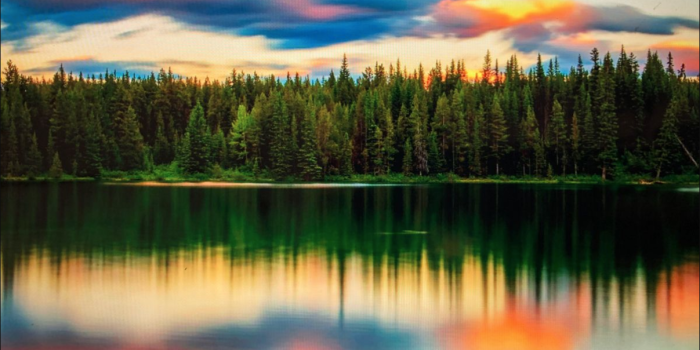 1207x906 How to find out the location of a certain Microsoft Spotlight - Microsoft  Community