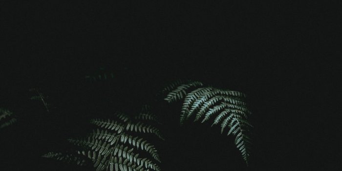 1000x1502 Iphone Black Pictures | Download Free Images on Unsplash