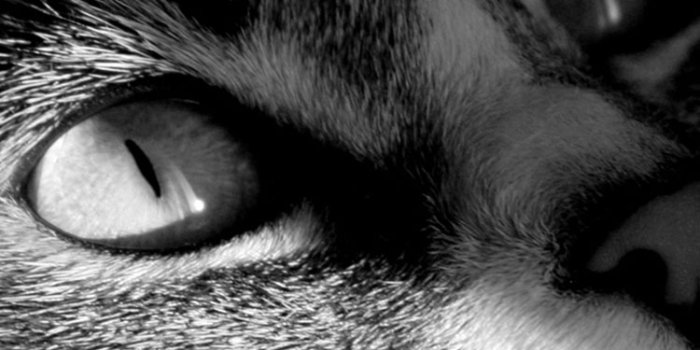 750x1334 30 HD Black iPhone Wallpapers