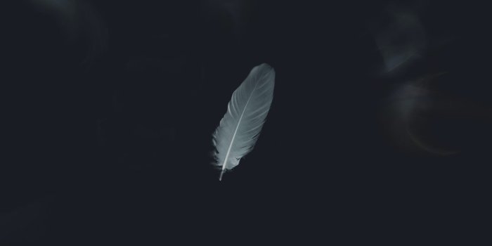 1440x2030 25 Aesthetic Dark Wallpapers For iPhone (Free HD Download!)