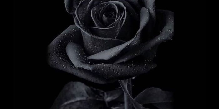 1080x1920 Black iPhone Wallpapers - 25 Top Free Download Black iPhone Wallpapers