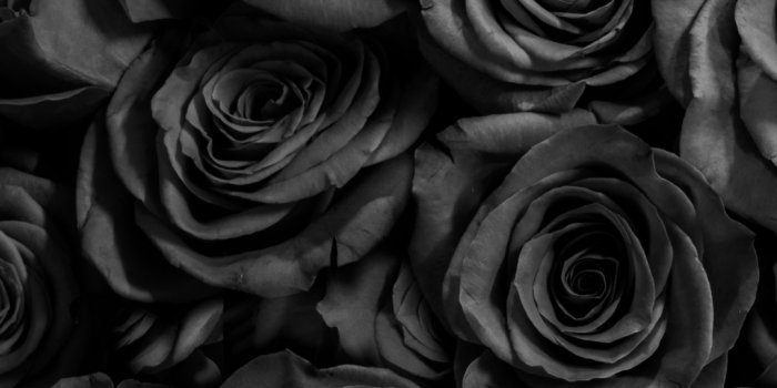 1080x1920 Black wallpaper iPhone - Top HD Free Black background iphone - 24wallpapers