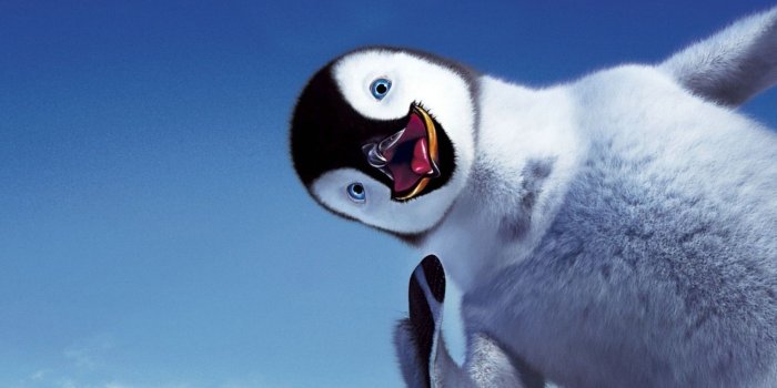 1920x1080 Penguin Backgrounds HD - PixelsTalk.Net