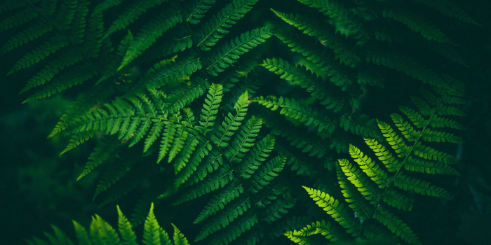 2160x1280 Microsoft to-do wallpapers mobile and desktop : r/wallpapers