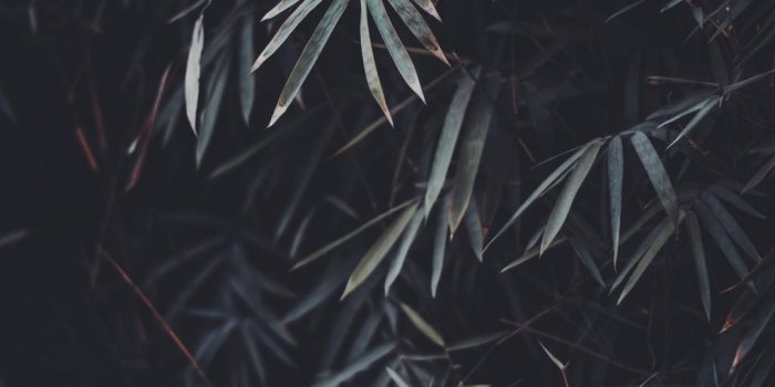 1080x1620 25 Aesthetic Dark Wallpapers For iPhone (Free HD Download!)