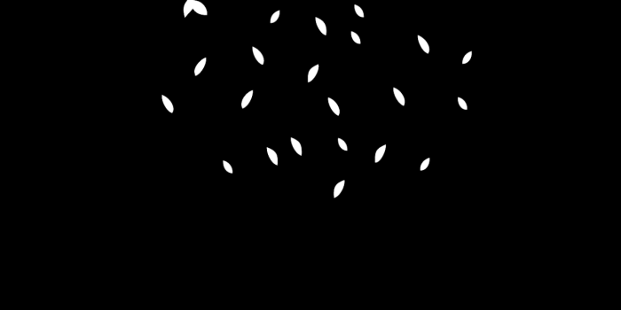 1205x2609 Iphone wallpaper hd black amoled | WallpaperiZe - High Quality Phone  Wallpapers