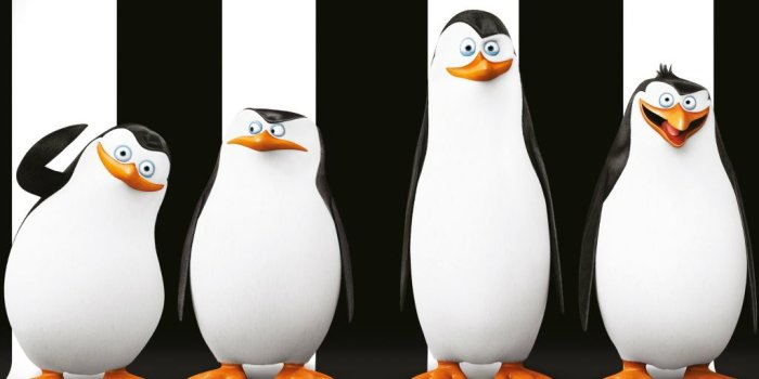 1024x1024 Best Penguin iPad HD Wallpapers - iLikeWallpaper