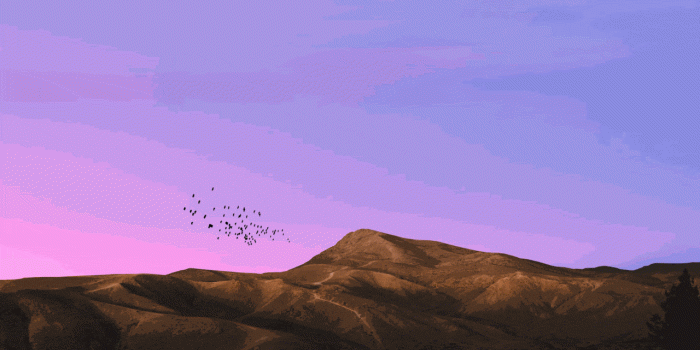 1280x850 Windows 10X might borrow the dynamic wallpaper feature from macOS -  OnMSFT.com