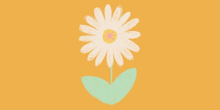 2048x2048 Free wallpaper downloads for phone, tablet and desktop | Raspberry Blossom