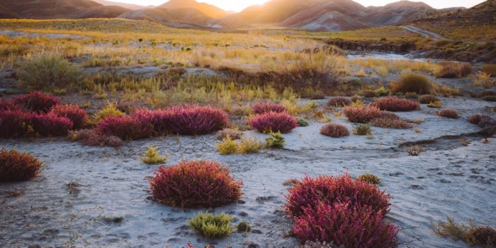 1000x1500 Samsung Wallpapers | 53 best free wallpaper, background, outdoor and grey  photos on Unsplash