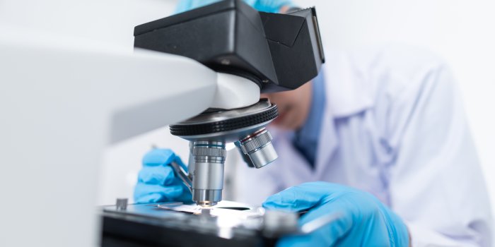 6016x4016 4,596+ Best Free Laboratory Stock Photos & Images · 100% Royalty-Free HD  Downloads