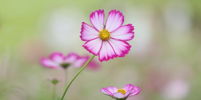 3840x2160 4K Wallpapers | Ultra HD Wallpapers