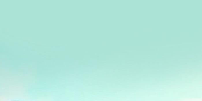 736x1307 Pin on Disney/Pixar Luca | Pixar poster, Lucas movie, Disney fan art