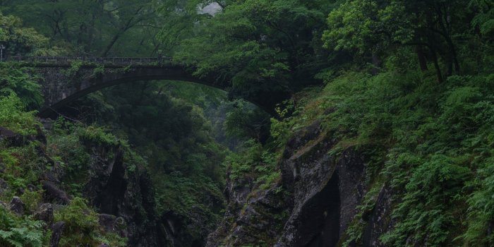 3840x2160 Old Bridge in the Woods 4K wallpaper