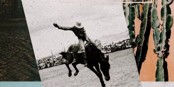 1024x1820 Instagram | Western photography, Country backgrounds, Western wallpaper  iphone