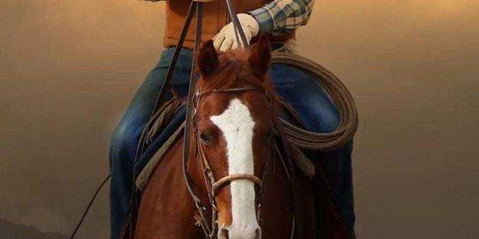 800x1600 HD Western Wallpaper | WhatsPaper