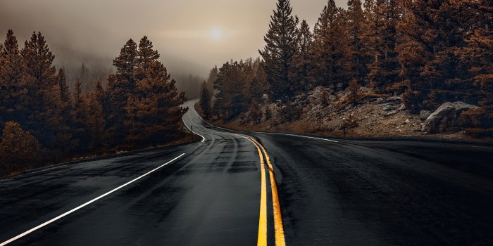 3840x2160 3840x2160 Road Between Woods 4k HD 4k Wallpapers, Images, Backgrounds,  Photos and Pictures