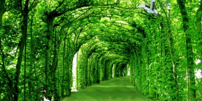 1000x900 Dropshipping Colomac Green Wallpaper Beautiful Woods Landscape Arch  Passageway Wall Wallpaper Wall Mural 3d Carta Da Parati - Wallpapers -  AliExpress