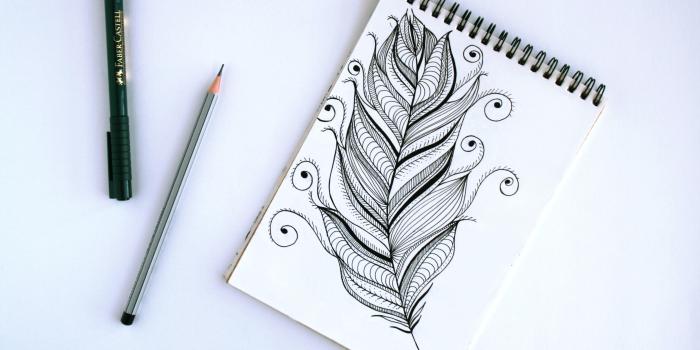 3888x2592 1,439+ Best Free Sketching Stock Photos & Images · 100% Royalty-Free HD  Downloads