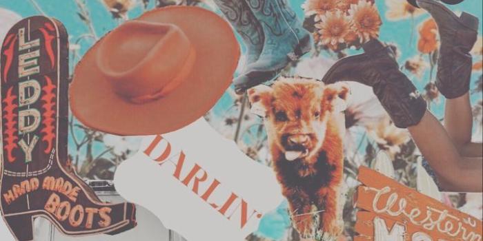 718x1200 Western Wallpaper | Collage phone case, Cute patterns wallpaper, Iphone  wallpaper vintage