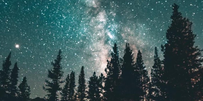 828x1792 Best Woods lake iPhone 11 HD Wallpapers - iLikeWallpaper