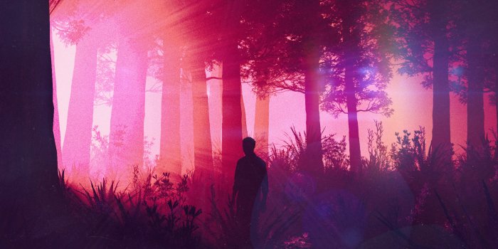 1938x1090 Lost In Woods, HD Artist, 4k Wallpapers, Images, Backgrounds, Photos and  Pictures