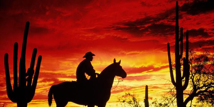 1600x1200 Free download Cowboy Cool Backgrounds and Wallpapers for your Desktop Or  [1600x1200] for your Desktop, Mobile & Tablet | Explore 48+ Western  Wallpaper for My Desktop | Western Backgrounds & Wallpapers, Western