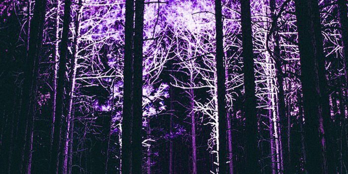 1125x2436 nn90-wood-mountain-nature-purple-night-wallpaper