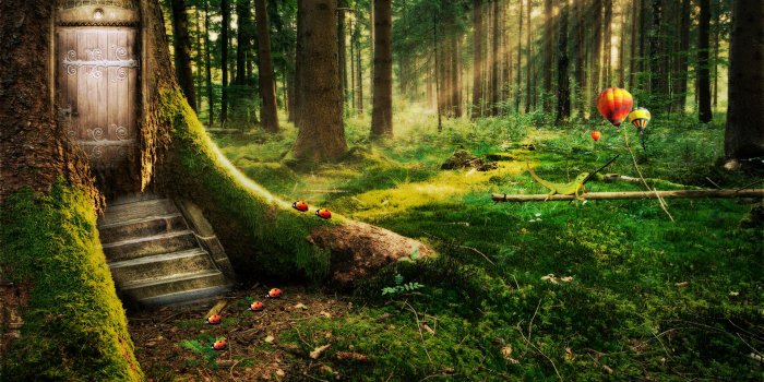 1920x1200 Magical Woods Wallpapers - Top Free Magical Woods Backgrounds -  WallpaperAccess