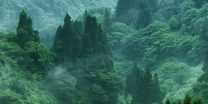 1125x2436 Nature Mist Mountain Wood Forest River Landscape iPhone Wallpapers Free  Download