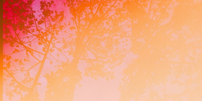 3130x2075 145,042+ Best Free Banner background Stock Photos & Images · 100%  Royalty-Free HD Downloads