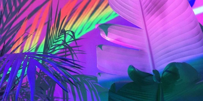 1080x1080 1080x1080 Aesthetic Wallpapers